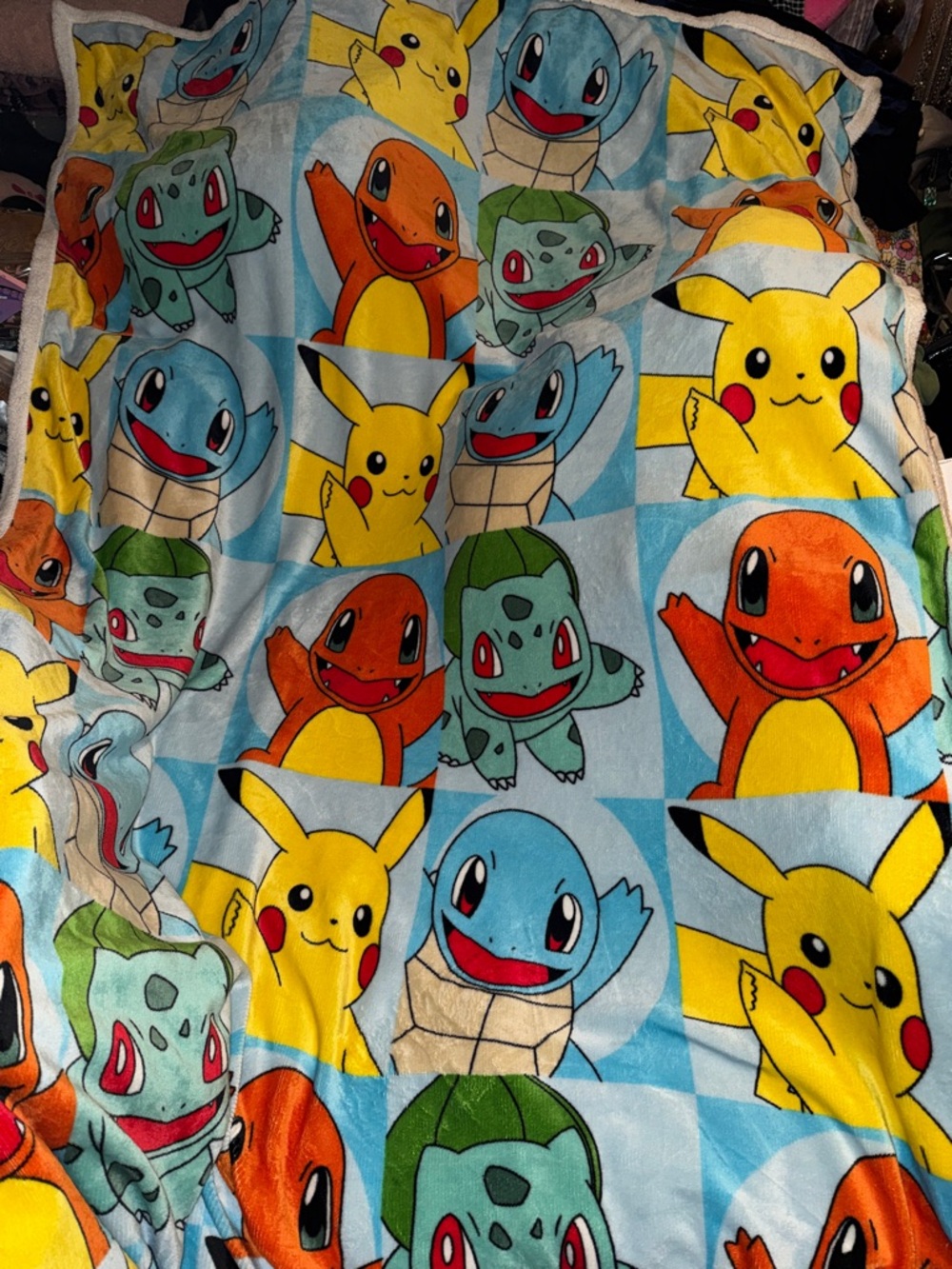 Pokemon Big Throw Blanket (Rare & Vintage)